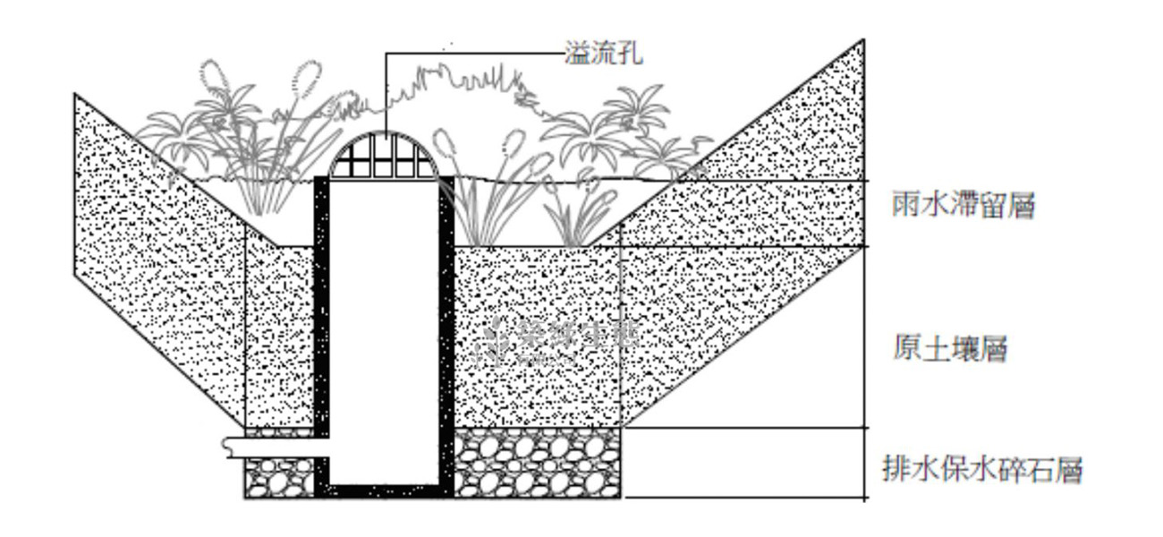 樹穴004