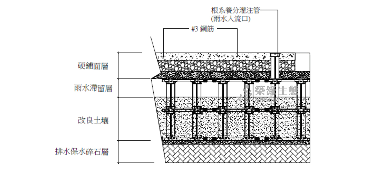 樹穴003