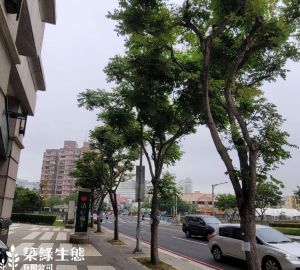 桃園銀河水岸亮點工程